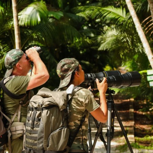 Observadores de aves com binóculos na floresta