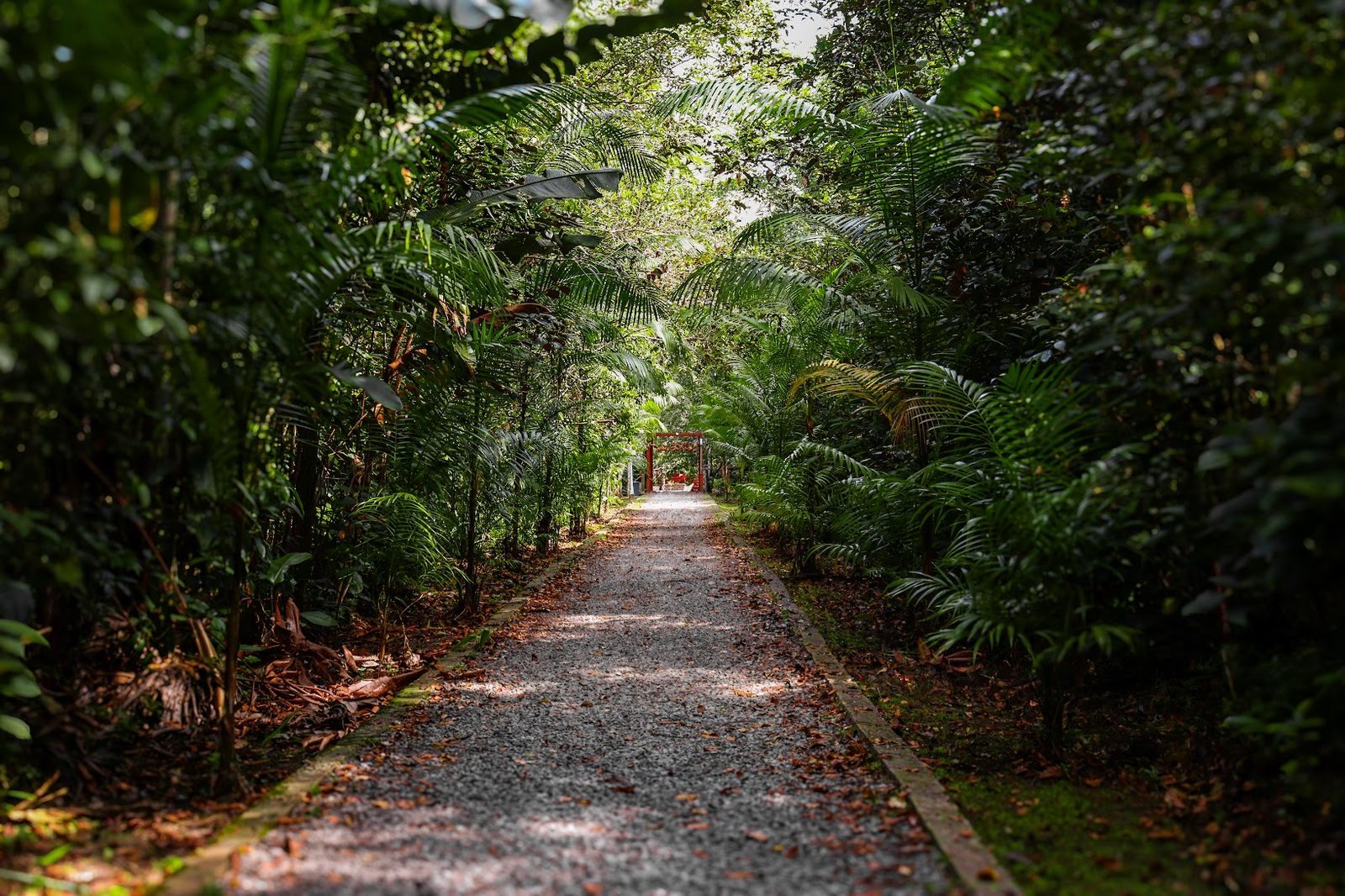 Área de cachoeira da pousada 5