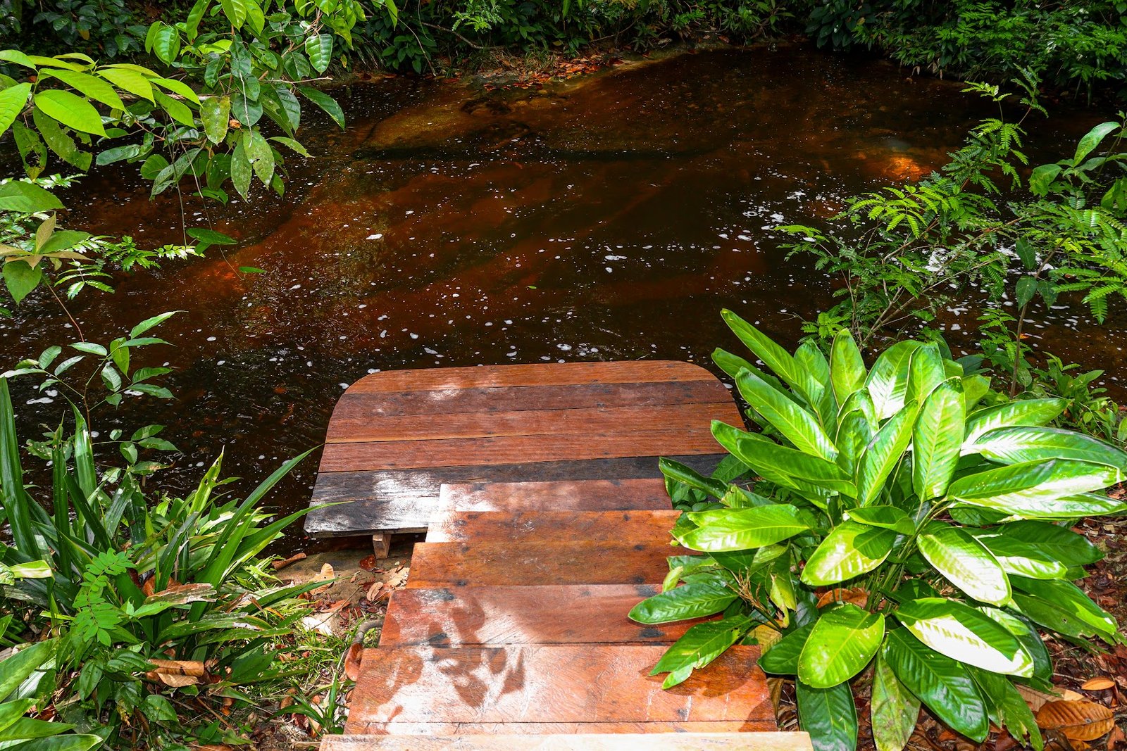 Pousada Paraíso do Calango Azul 50